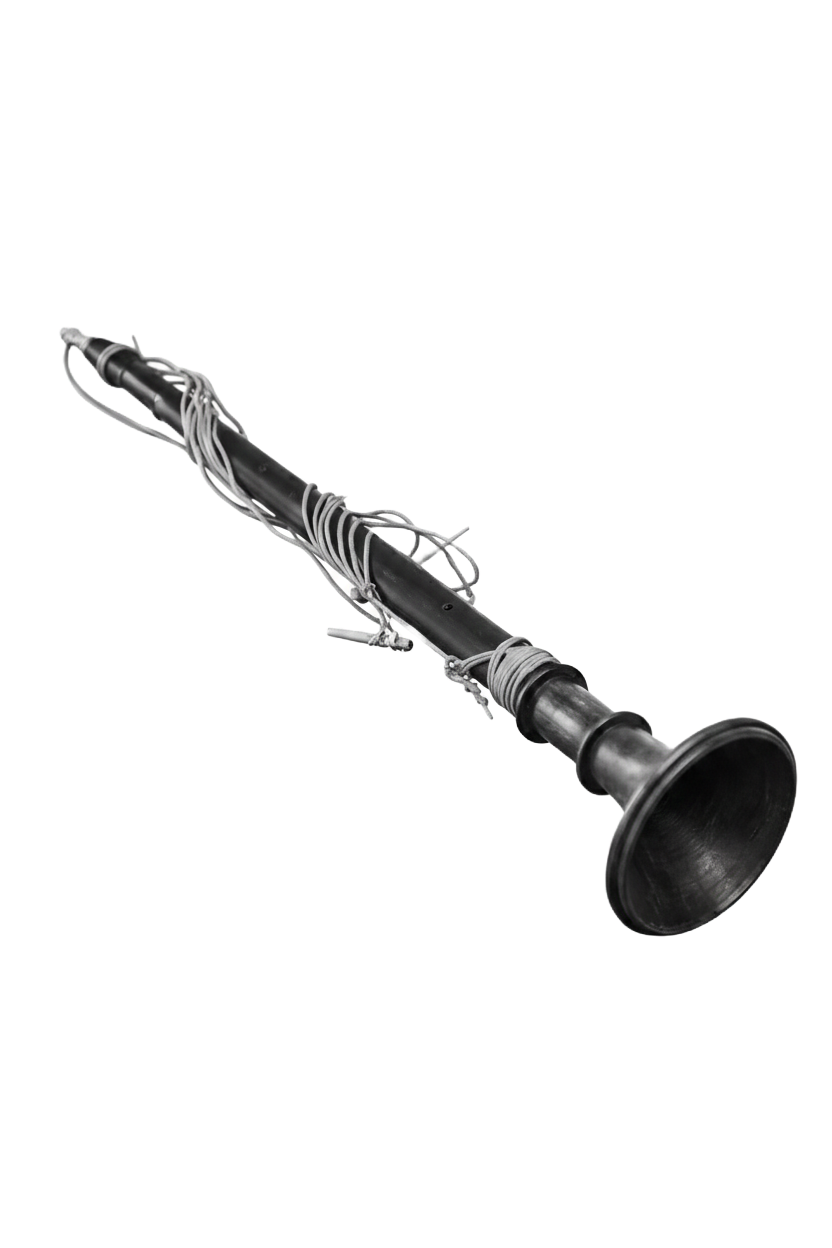 Traditional Nadaswaram wedding music